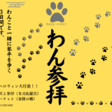 金刀比羅宮 わん参拝